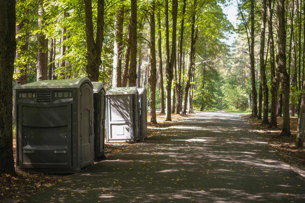 Best Portable bathroom rental  in Meadowbrook, CA